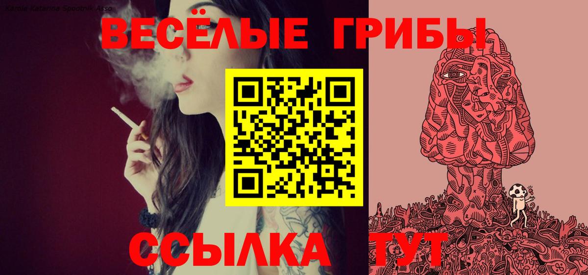Галлюциногенные грибы Psilocybe  Вход с VPN  Верхняя Салда  Псилоцибиновые грибы Psilocybe 